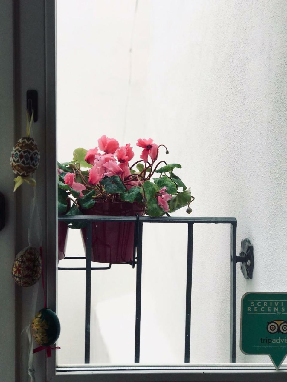 Bed & Breakfast Charming Opuntia
